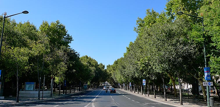 lisbon_avenida-liberdade.jpg