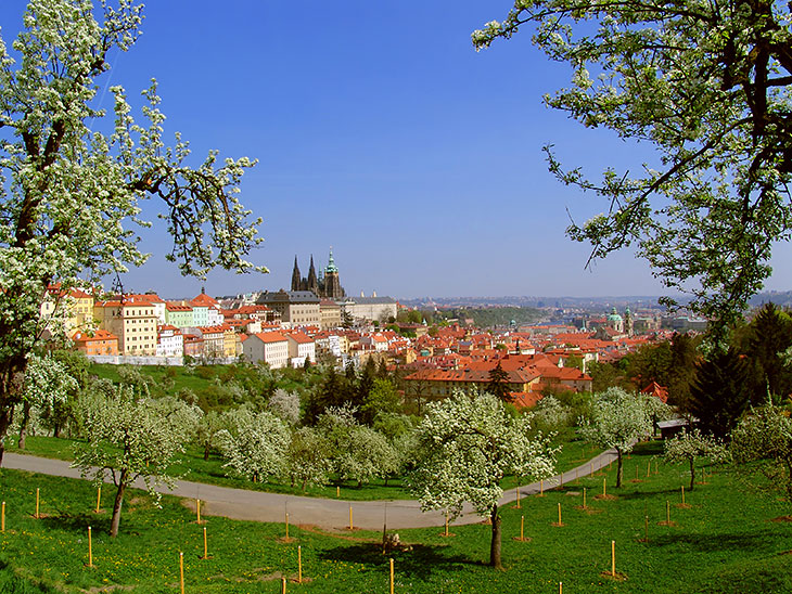 Prags gotische Kathedrale