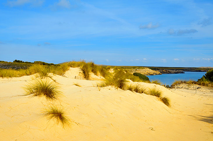 Gyllene sanddyner på stranden Son Saura